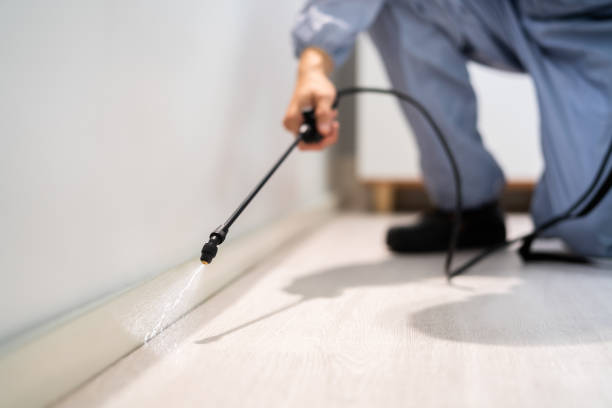Licensed Cockroach Control service in Grant-Valkaria, FL - Nex Pest Control