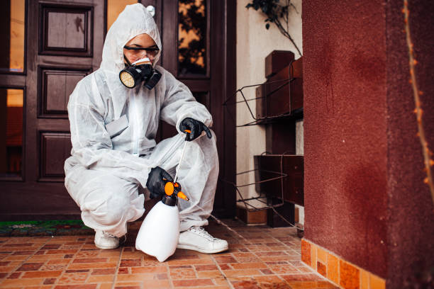 Reliable Cockroach Control contractor in Grant-Valkaria, FL by Nex Pest Control